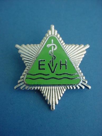 Exe Vale Hospital Nurses Badge Exminster