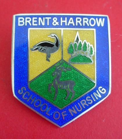 Brent & Harrow School of Nursing Silver Badge