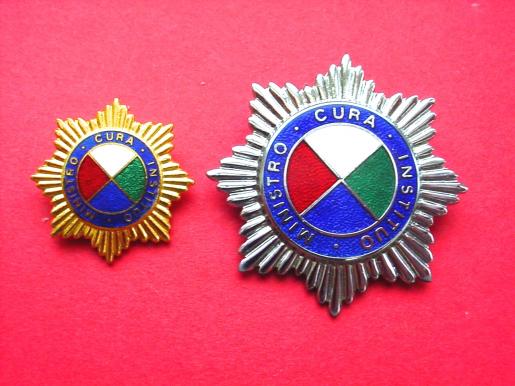 United Kingdom Nurse's Badge Pair