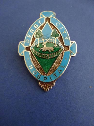 Derby City Hospital Silver Gilt Nurses badge