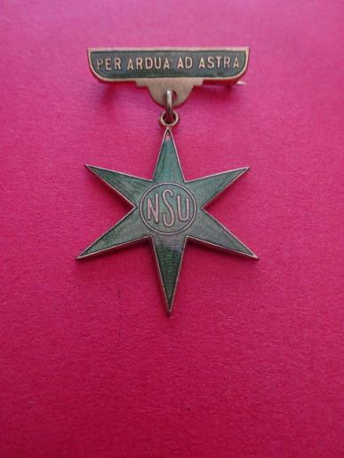 Nurses Social Union,Nurses pendant badge