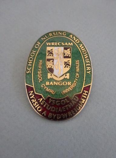 University of Wales Wrexham Bangor School of Nursing & Midwifery,nurses badge