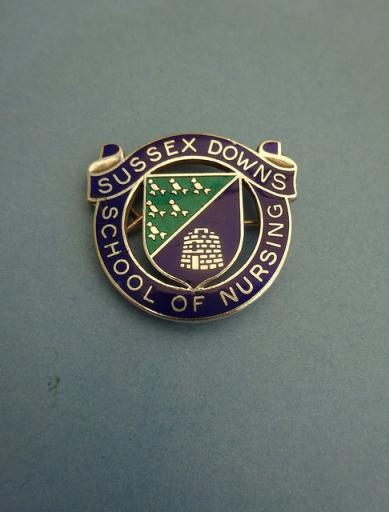 Sussex Downs School of Nursing,Silver Nurses Badge