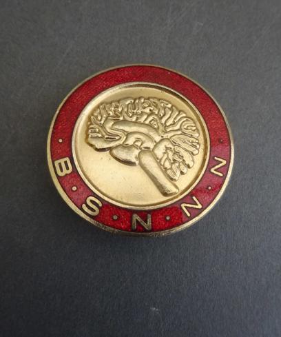 British Society of Neuromedical & Neurosurgical Nurses Members Badge