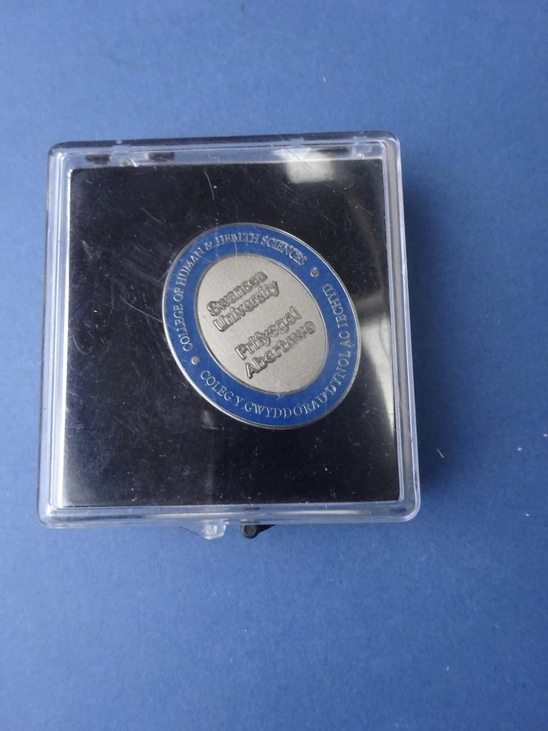 College of Human & Health Sciences, Swansea University,Nurses Badge