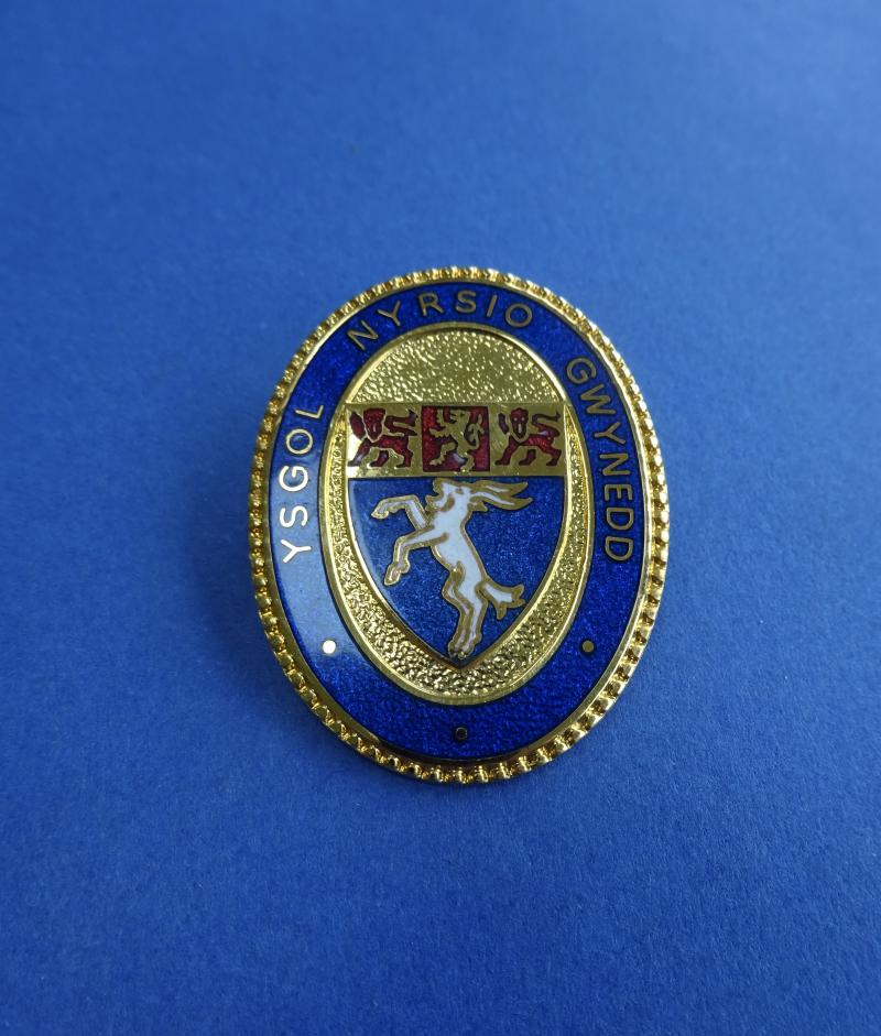 Gwynedd School of Nursing, nurses badge