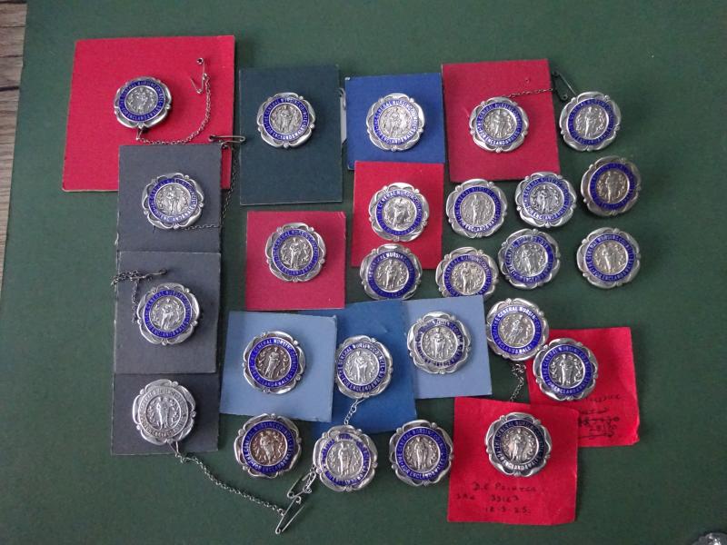 General Nursing Council For England & Wales, 20 assorted Silver SRN Badgencil