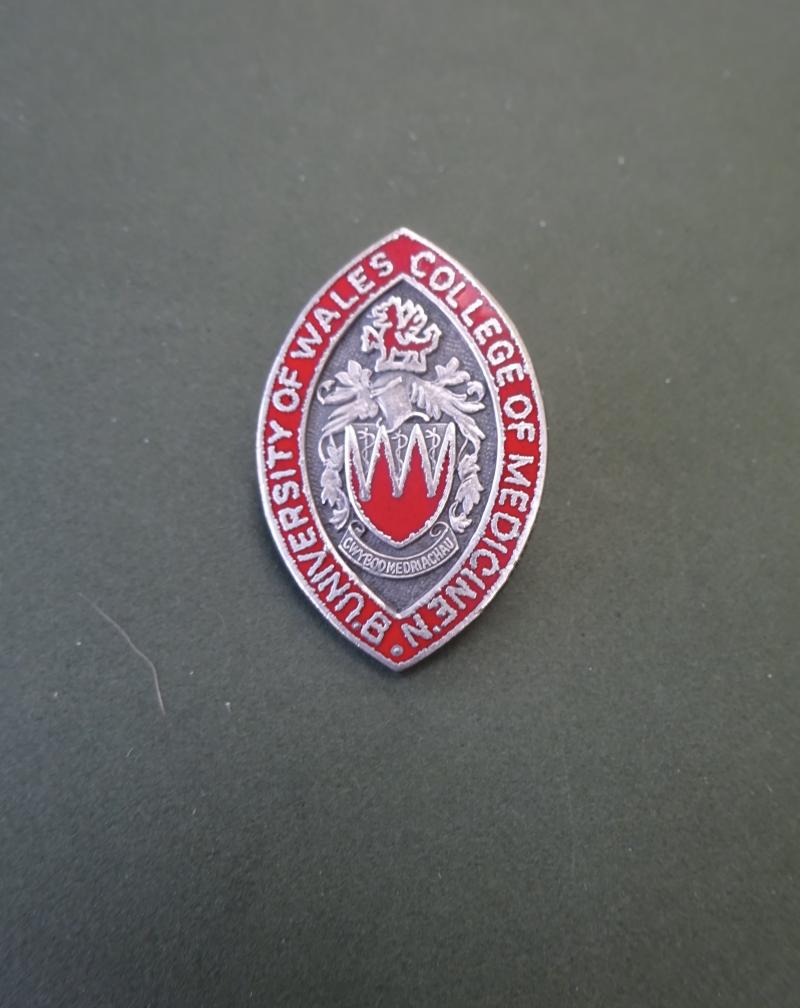 University of Wales College of Nursing, Batchelor of Nursing badge
