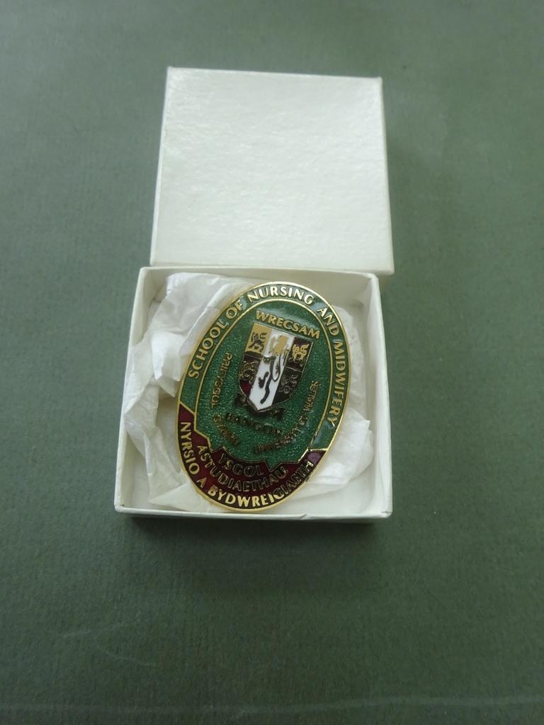 Wrexham & Bangor School of Nursing and Midwifery, Nurses badge