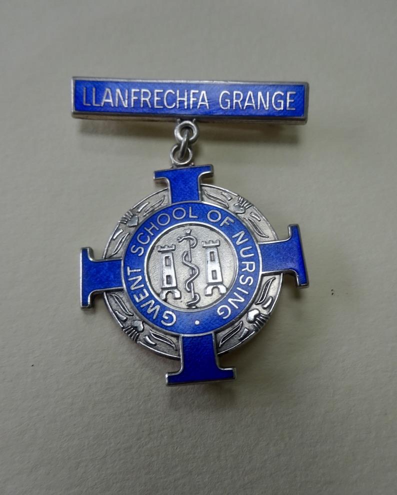 Gwent School of Nursing, Llanfrechfa Grange, Silver RNLD badge