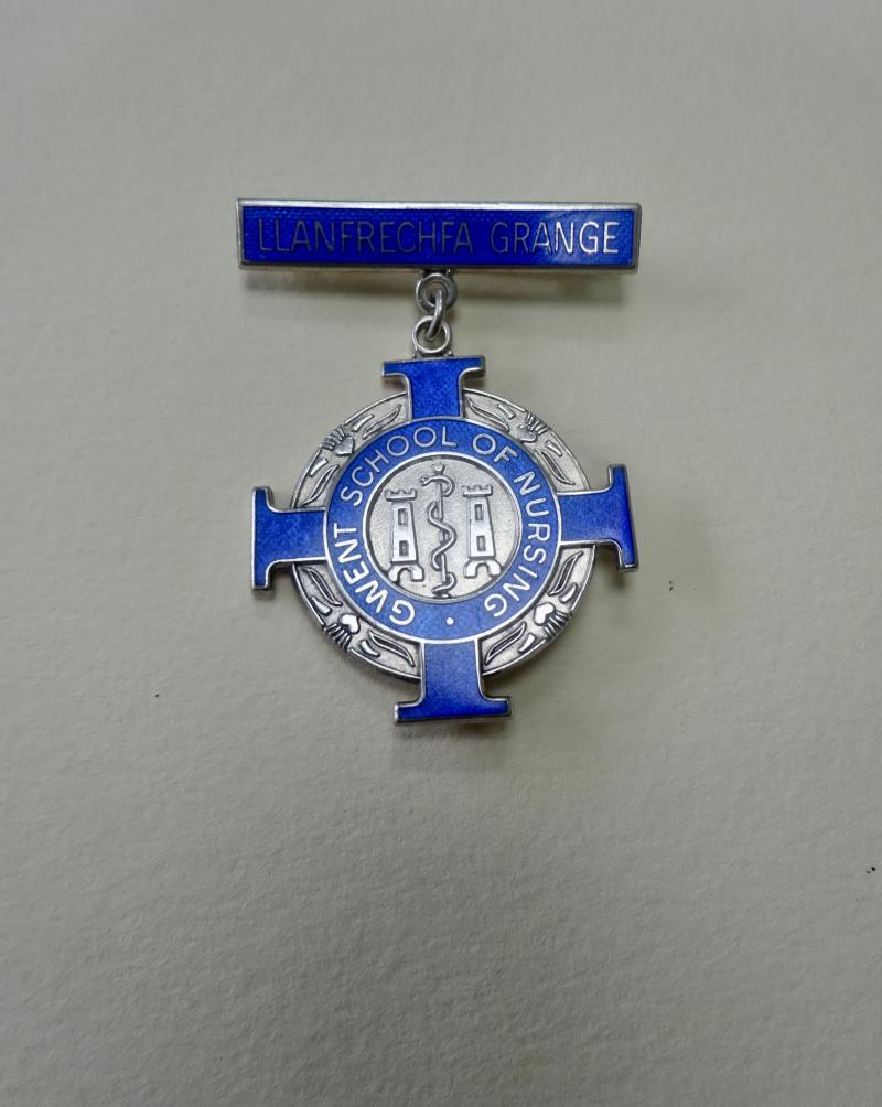 Gwent School of Nursing, Llanfrechfa Grange, Silver RNLD badge