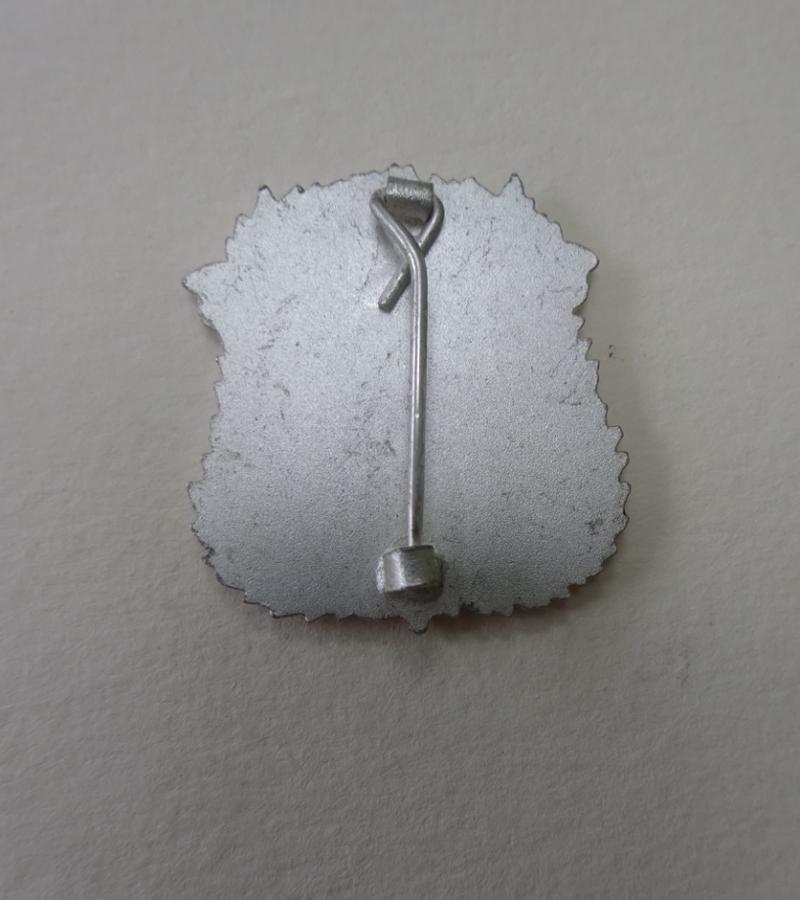 The Royal Hospital For Sick Children Edinburgh, Nurses Badge