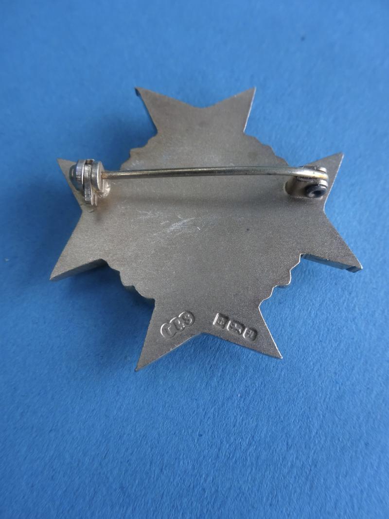 St Thomas' Hospital , School of Radiography Silver badge