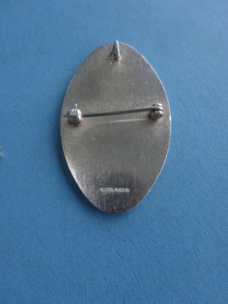 Warwickshire School of Nursing,Silver Enrolled Nurse Training Badge