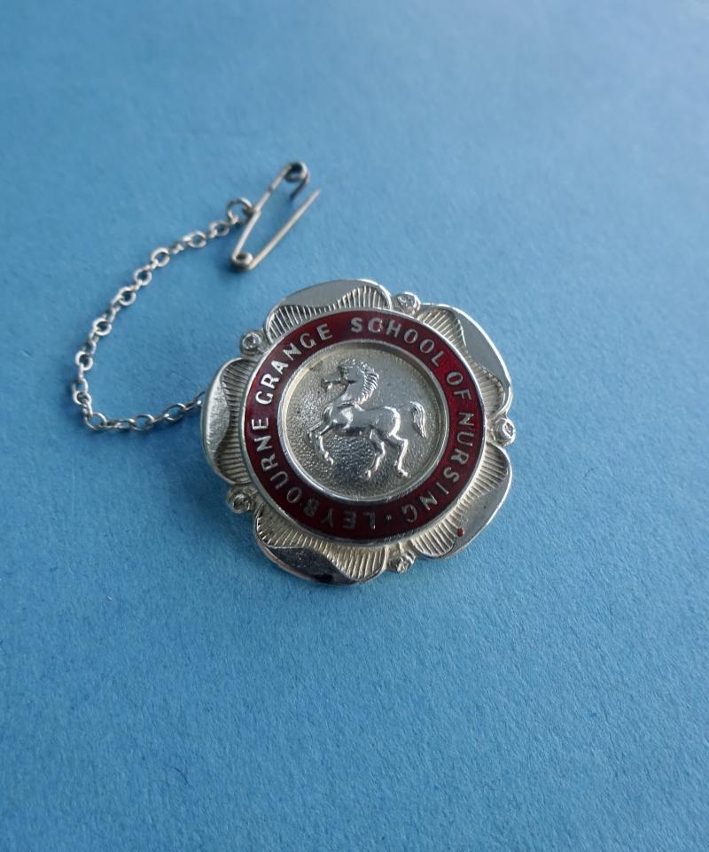 Leybourne Grange School of Nursing,Silver Learning Disability Nurses badge