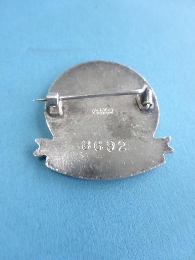 Registered Medical Auxiliary, Speech Therapist