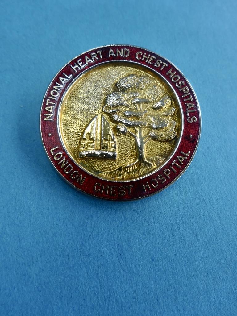 Newcastle RVI/ London Chest Hospital/GNC trio of Nurse Badges