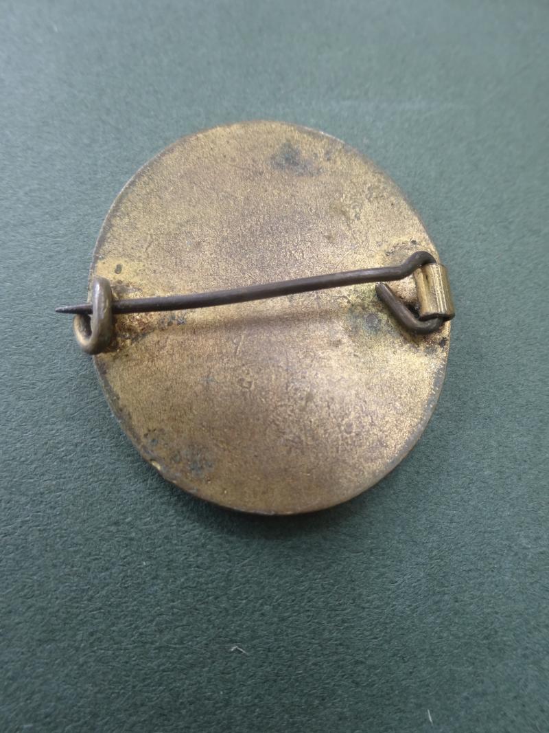 Nursing Institute Middlesborough, District Nursing Badge
