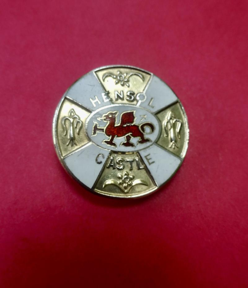 Hensol Castle ,Silver Learning Disability Nurses badge