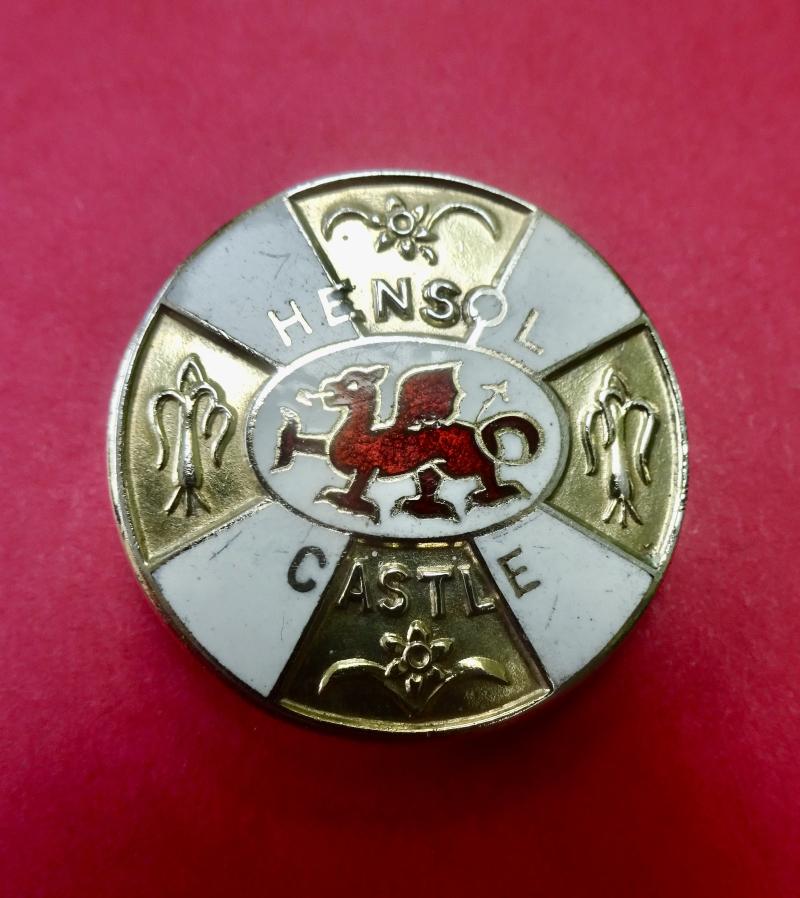 Hensol Castle ,Silver Learning Disability Nurses badge