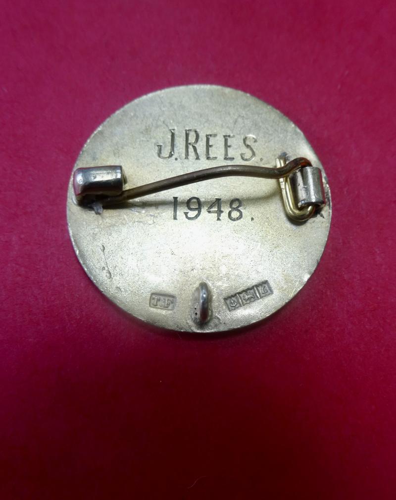 Hensol Castle ,Silver Learning Disability Nurses badge