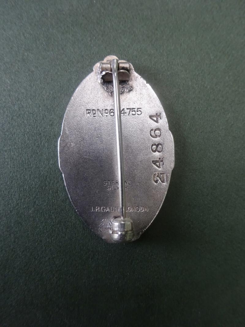 College of Nursing ,silver members badge